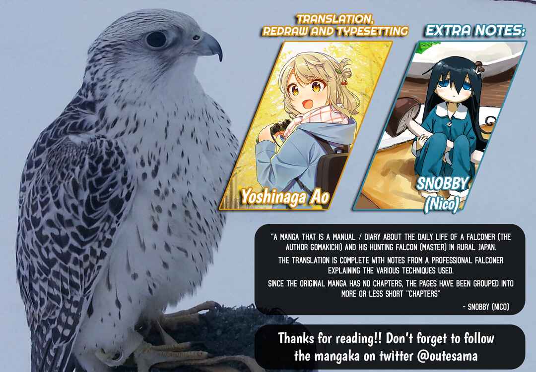 Page 16 Chapter 8 Hawk Master, Its Hunting Time!