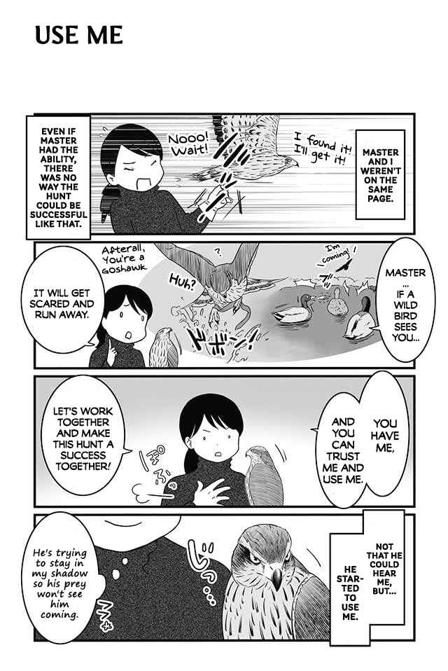 Page 2 Chapter 8 Hawk Master, Its Hunting Time!
