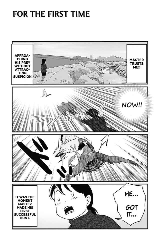 Page 3 Chapter 8 Hawk Master, Its Hunting Time!