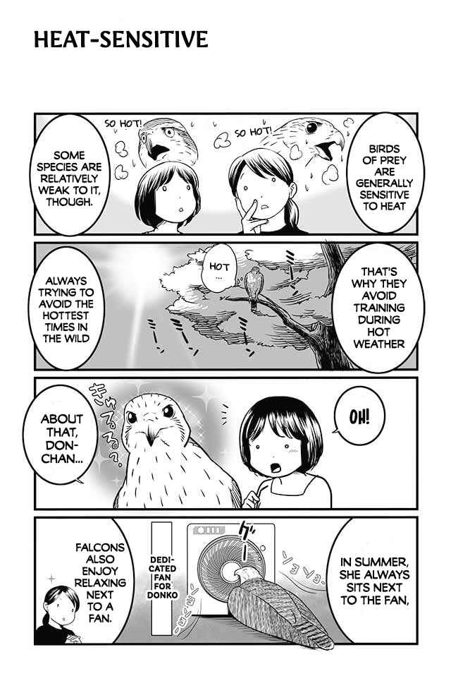 Page 4 Chapter 7 Hawk Master, Its Hunting Time!