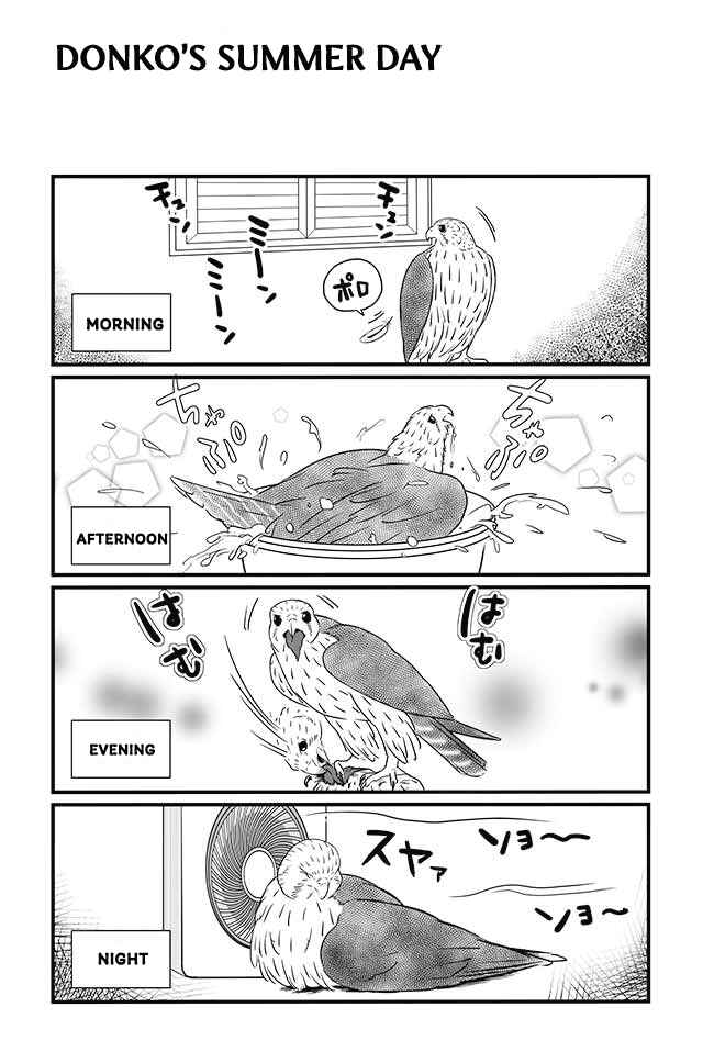 Page 5 Chapter 7 Hawk Master, Its Hunting Time!