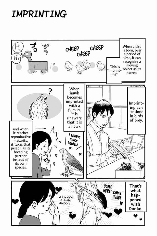 Page 1 Chapter 10 Hawk Master, Its Hunting Time!