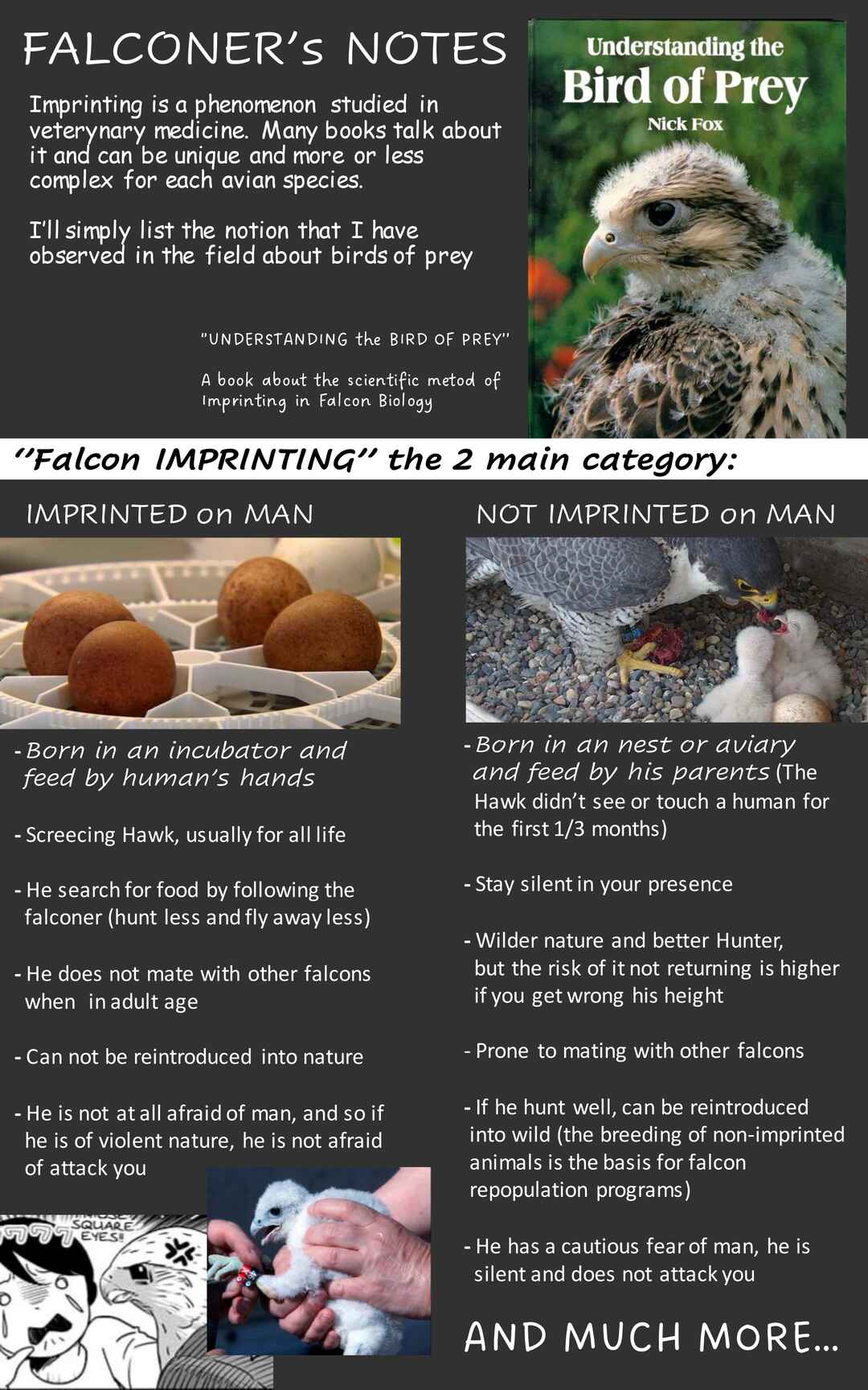 Page 3 Chapter 10 Hawk Master, Its Hunting Time!