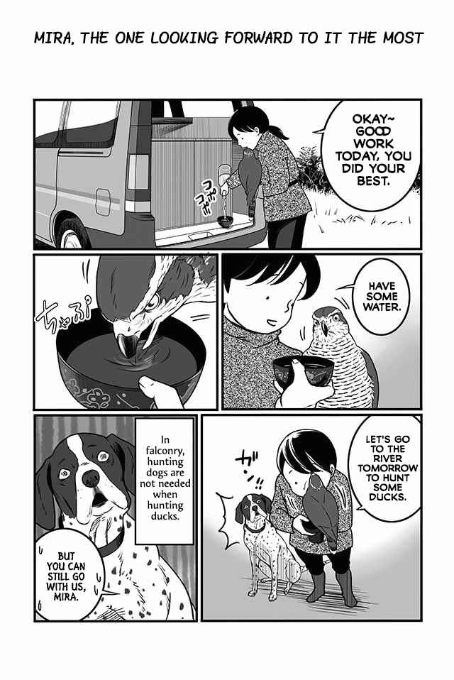 Page 1 Chapter 1.1 Hawk Master, Its Hunting Time!