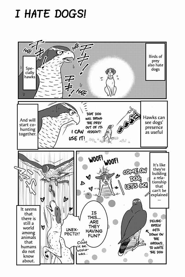 Page 5 Chapter 11 Hawk Master, Its Hunting Time!