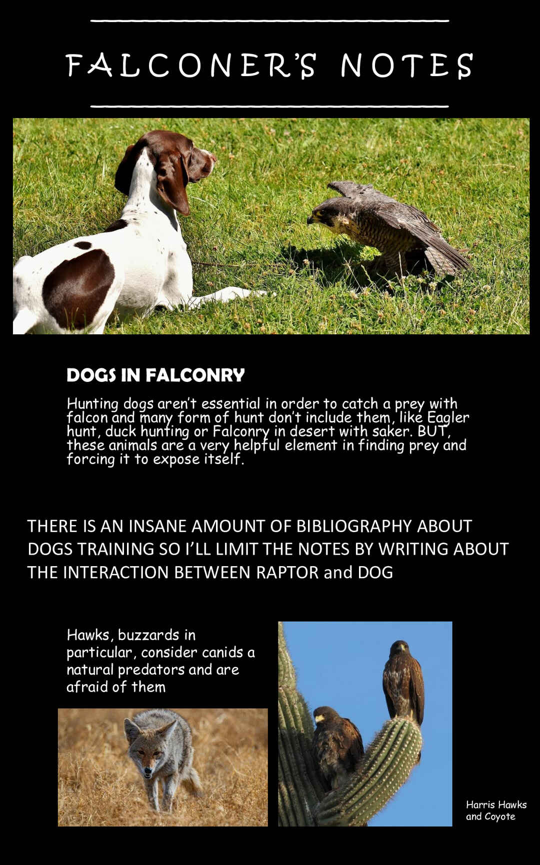 Page 8 Chapter 11 Hawk Master, Its Hunting Time!