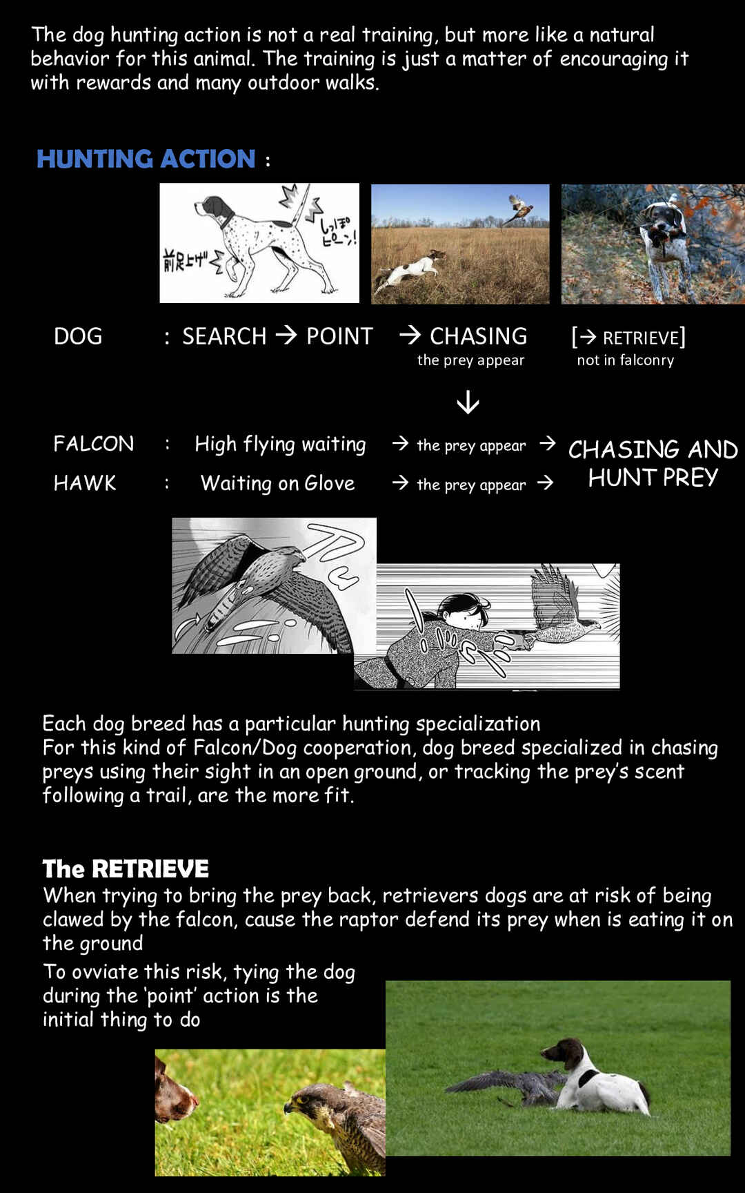 Page 9 Chapter 11 Hawk Master, Its Hunting Time!