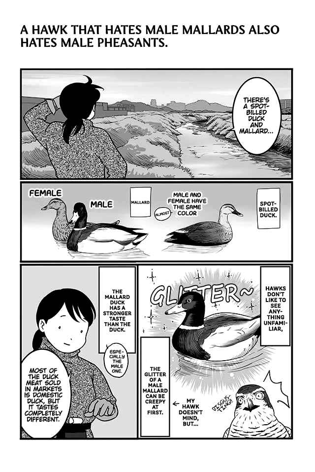 Page 1 Chapter 2 Hawk Master, Its Hunting Time!