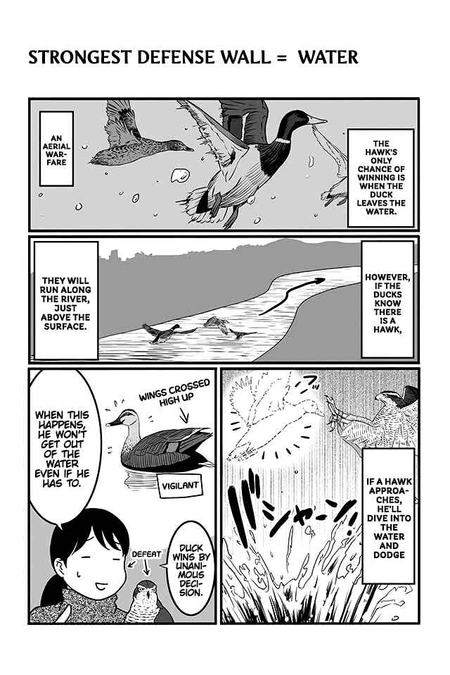 Page 3 Chapter 2 Hawk Master, Its Hunting Time!