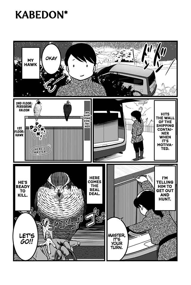 Page 4 Chapter 2 Hawk Master, Its Hunting Time!