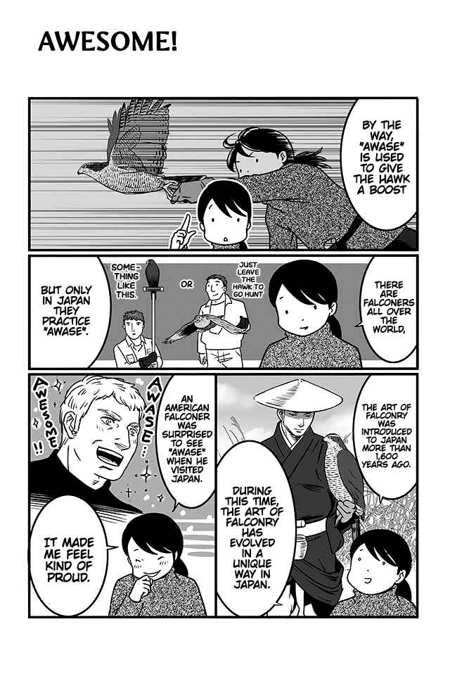 Page 9 Chapter 2 Hawk Master, Its Hunting Time!