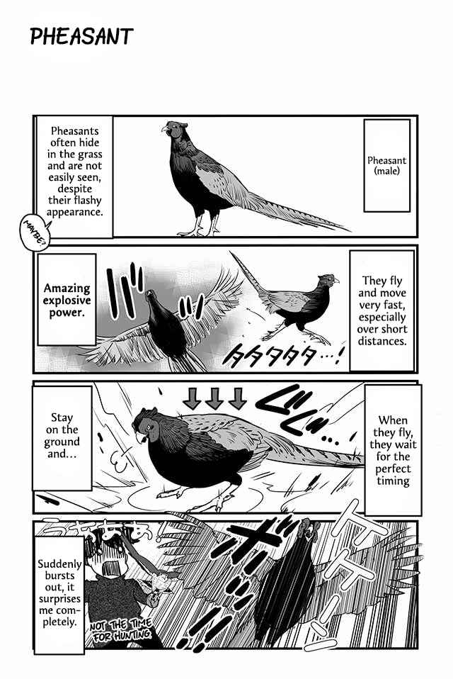 Page 1 Chapter 12 Hawk Master, Its Hunting Time!
