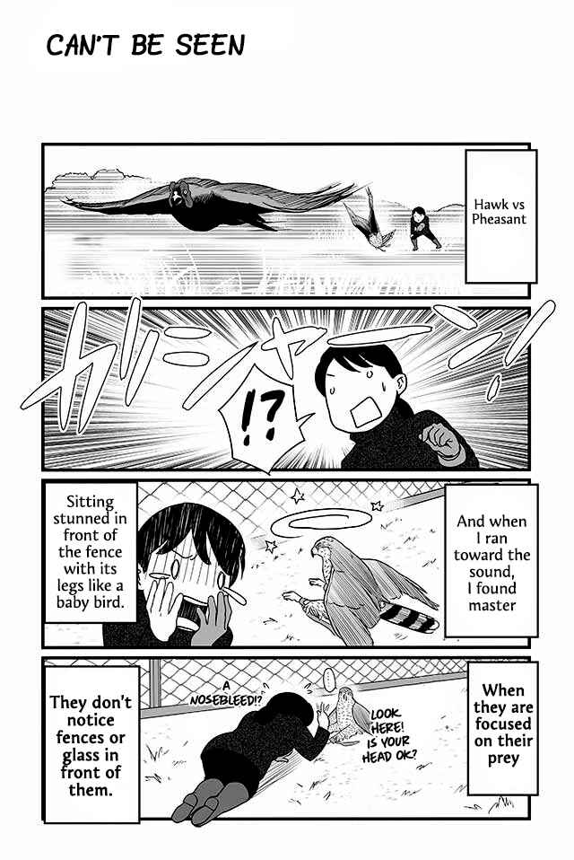 Page 2 Chapter 12 Hawk Master, Its Hunting Time!