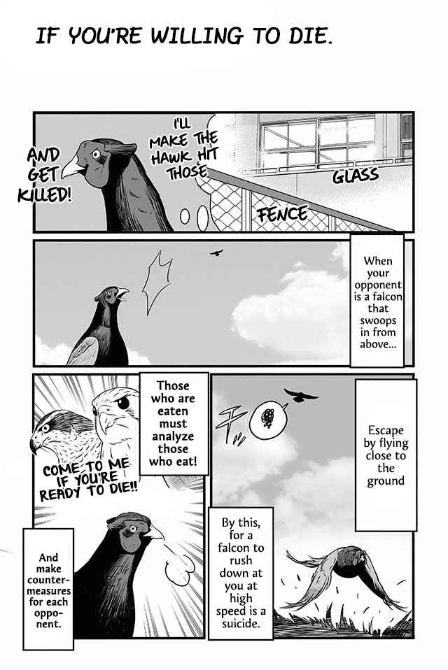Page 4 Chapter 12 Hawk Master, Its Hunting Time!