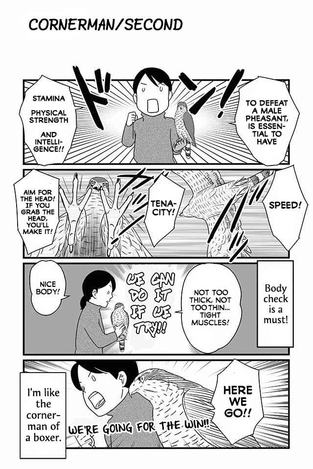 Page 6 Chapter 12 Hawk Master, Its Hunting Time!