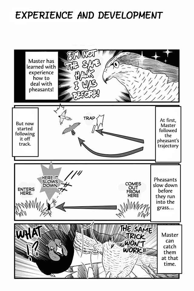 Page 7 Chapter 12 Hawk Master, Its Hunting Time!