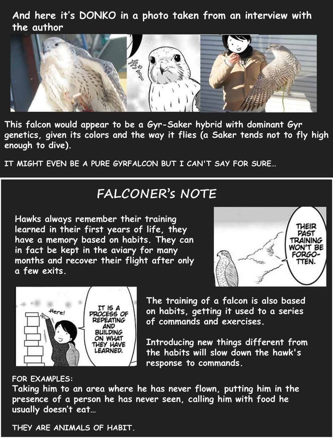 Page 10 Chapter 5 Hawk Master, Its Hunting Time!