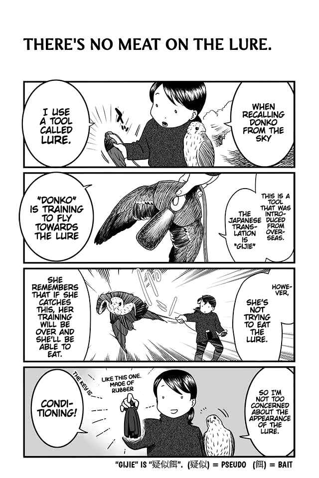 Page 2 Chapter 5 Hawk Master, Its Hunting Time!