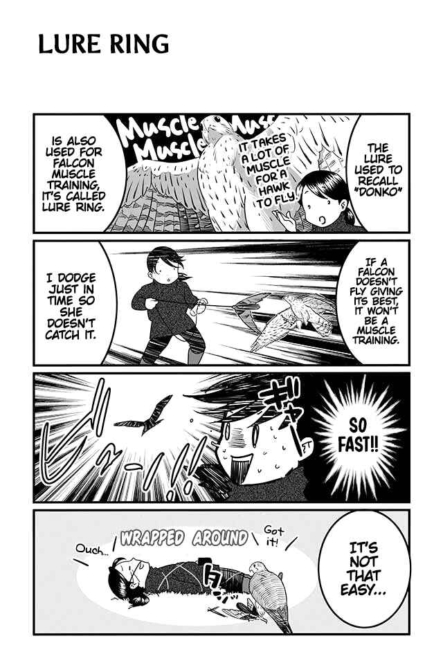 Page 3 Chapter 5 Hawk Master, Its Hunting Time!