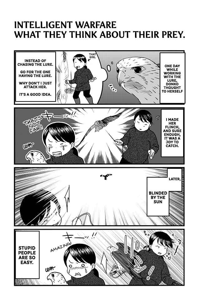 Page 8 Chapter 5 Hawk Master, Its Hunting Time!
