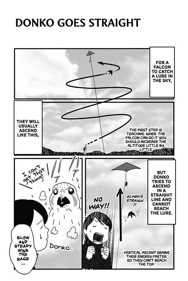 Page 2 Chapter 6 Hawk Master, Its Hunting Time!