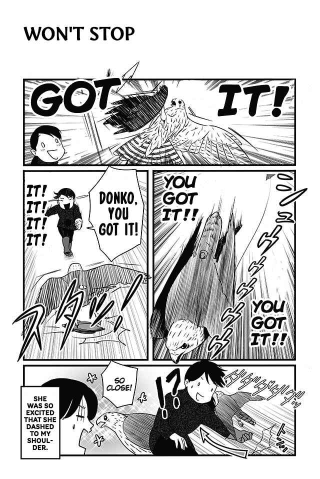 Page 3 Chapter 6 Hawk Master, Its Hunting Time!