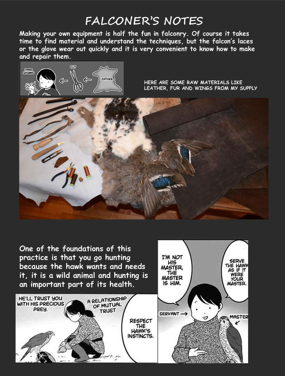 Page 3 Chapter 3 Hawk Master, Its Hunting Time!