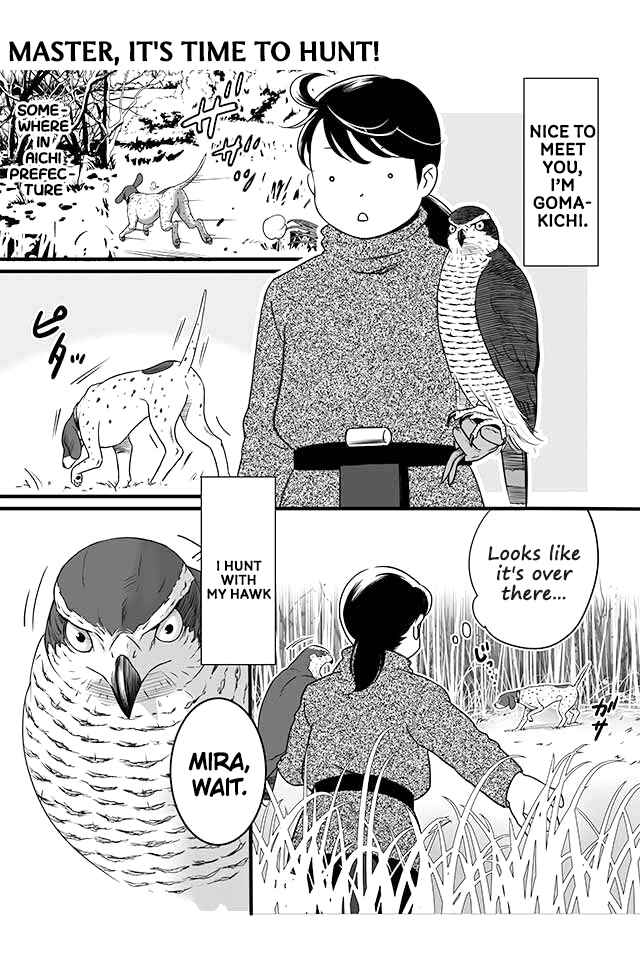 Page 1 Chapter 1 Hawk Master, Its Hunting Time!
