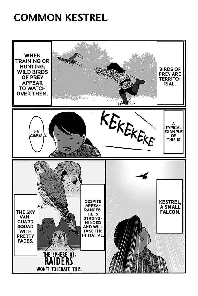 Page 13 Chapter 1 Hawk Master, Its Hunting Time!