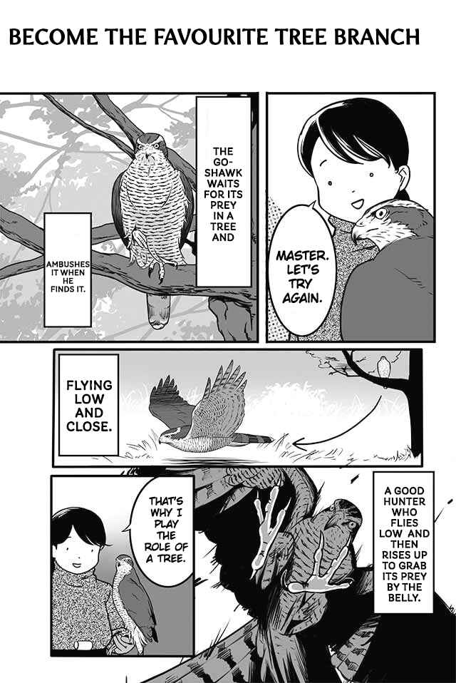 Page 4 Chapter 1 Hawk Master, Its Hunting Time!