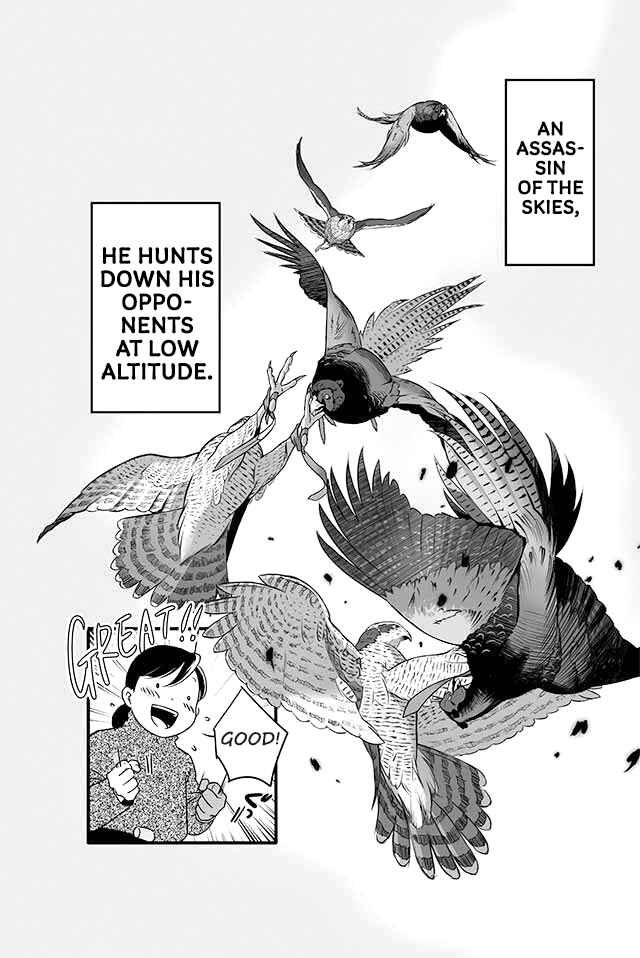 Page 6 Chapter 1 Hawk Master, Its Hunting Time!