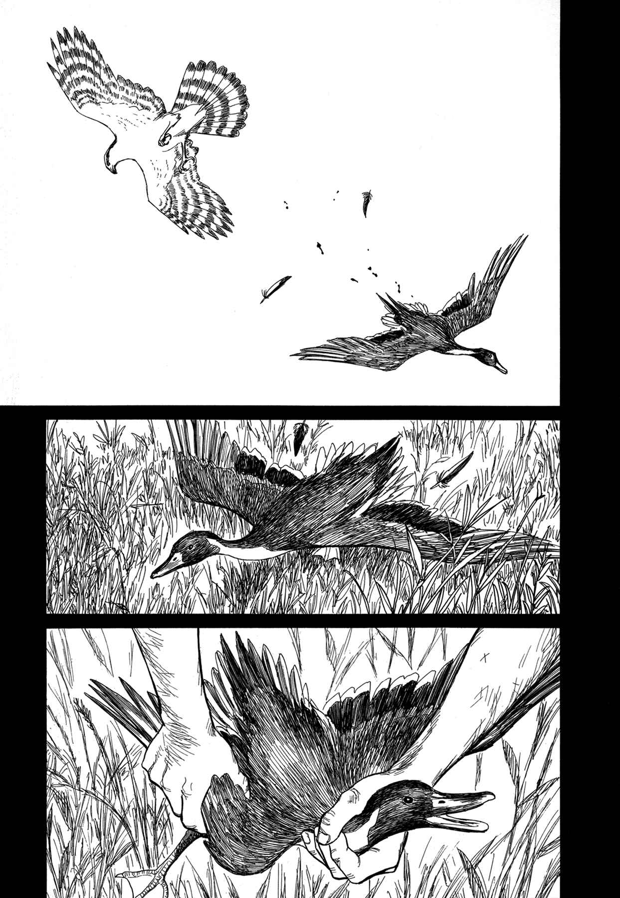 Page 47 Chapter 2 Snow Ridge, Sword Dance