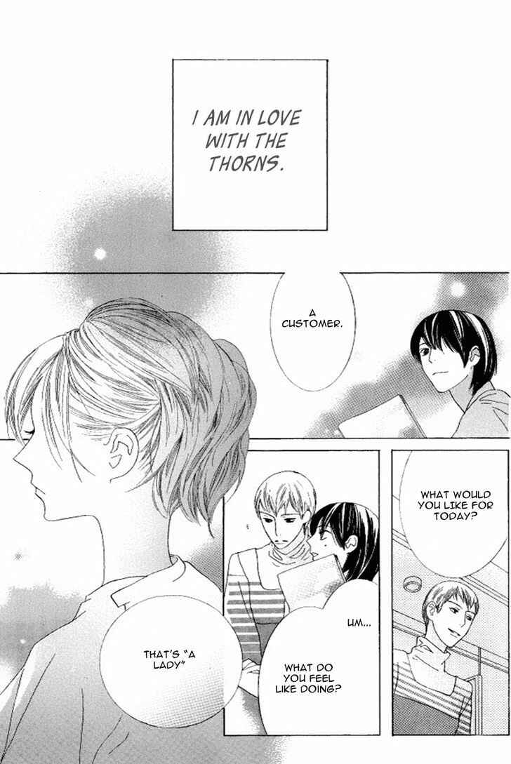 Page 6 Chapter 11 Beauty Honey