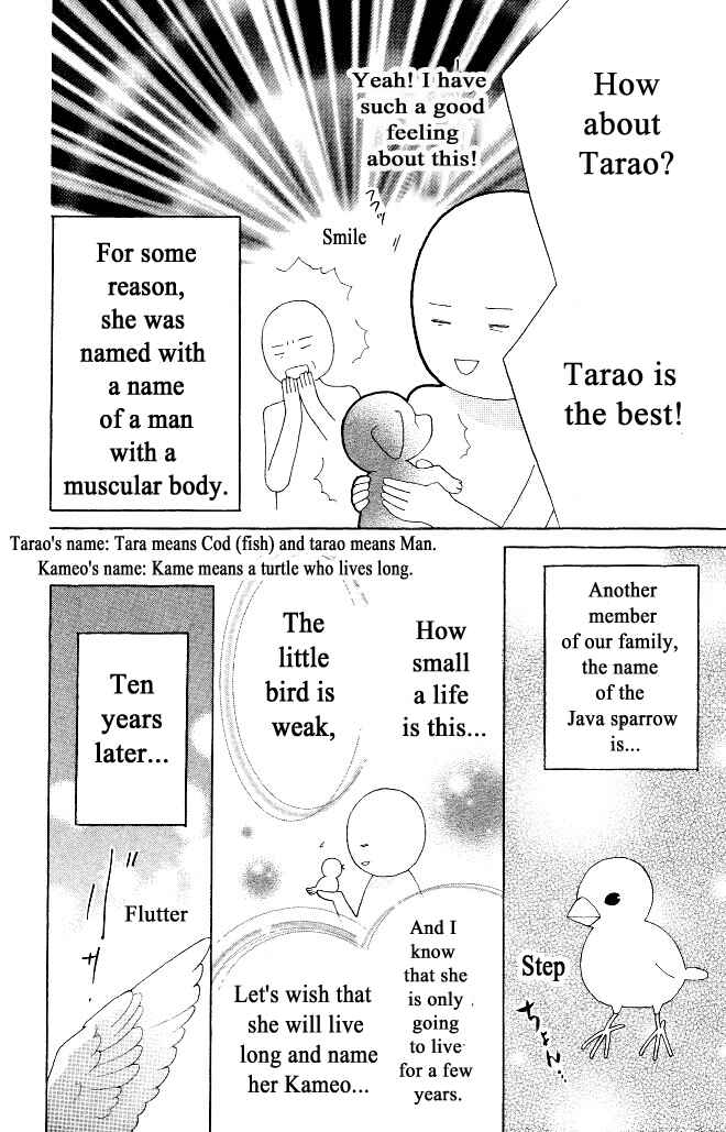 Page 35 Chapter 18 Beauty Honey