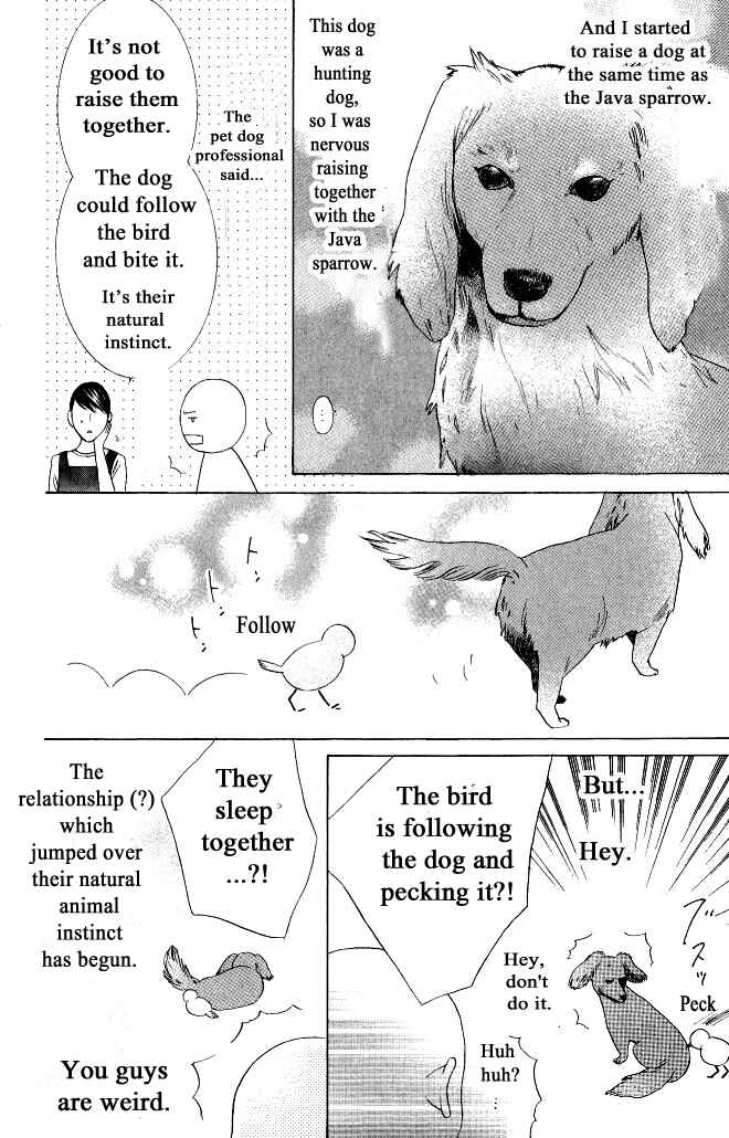 Page 35 Chapter 12 Beauty Honey