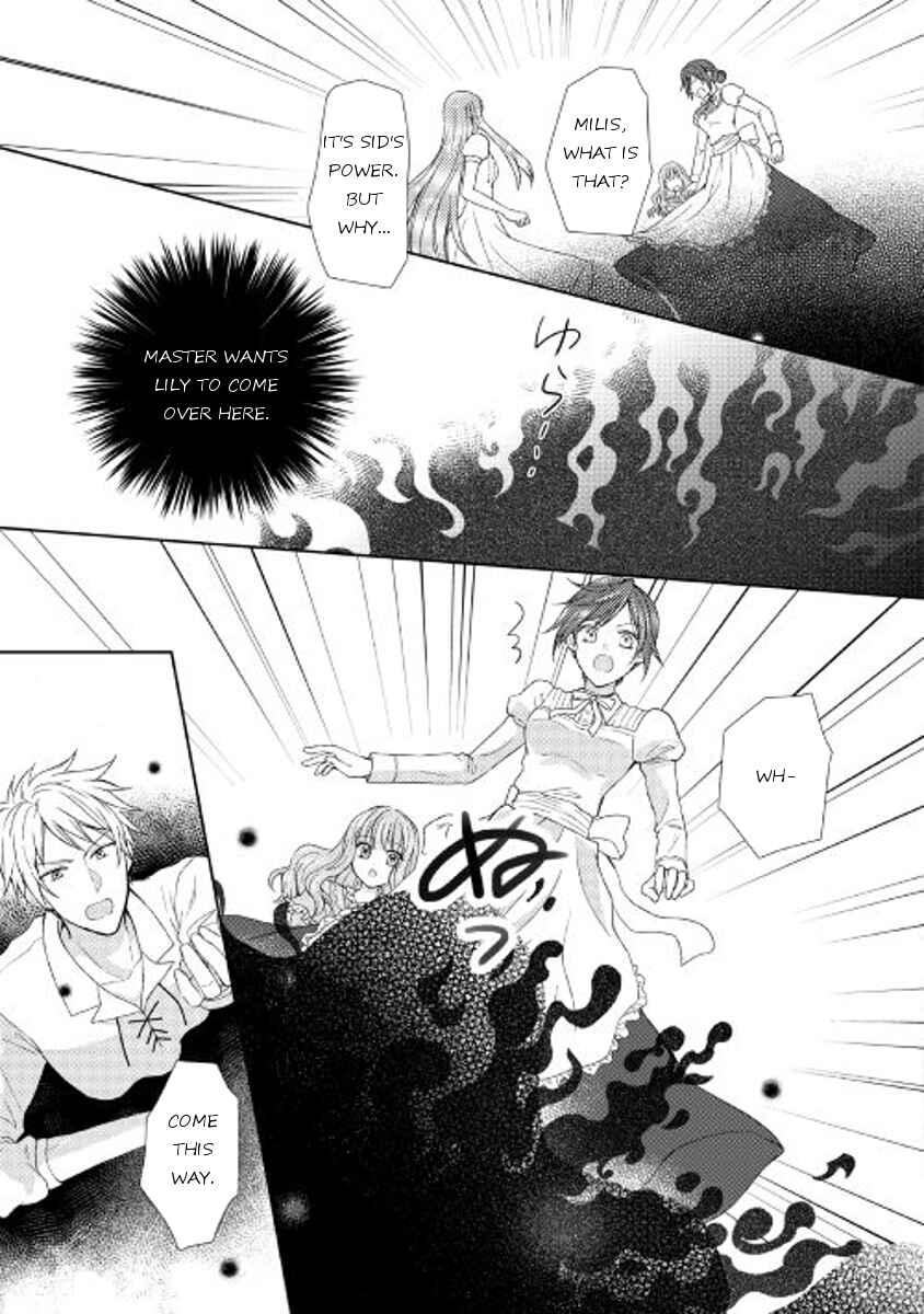 Page 21 Chapter 11 From Maid to Mother
