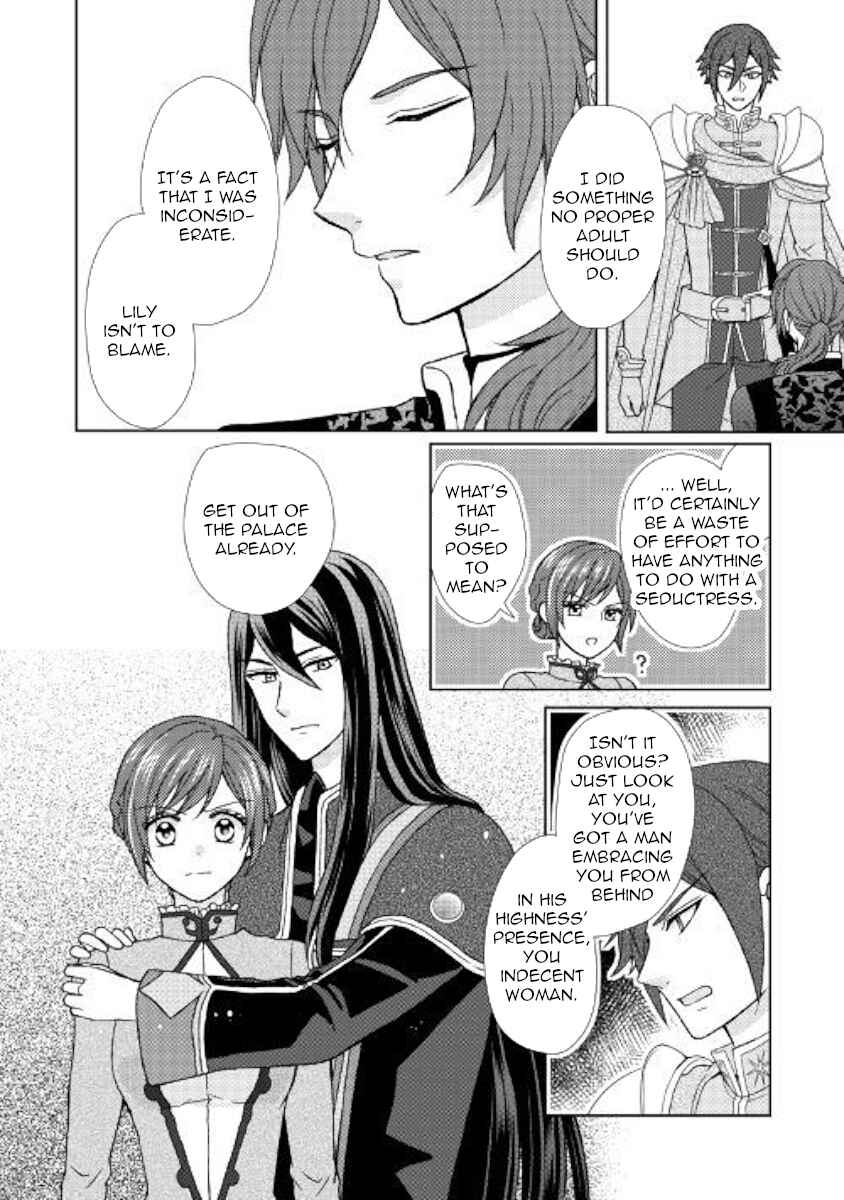 Page 16 Chapter 25 From Maid to Mother