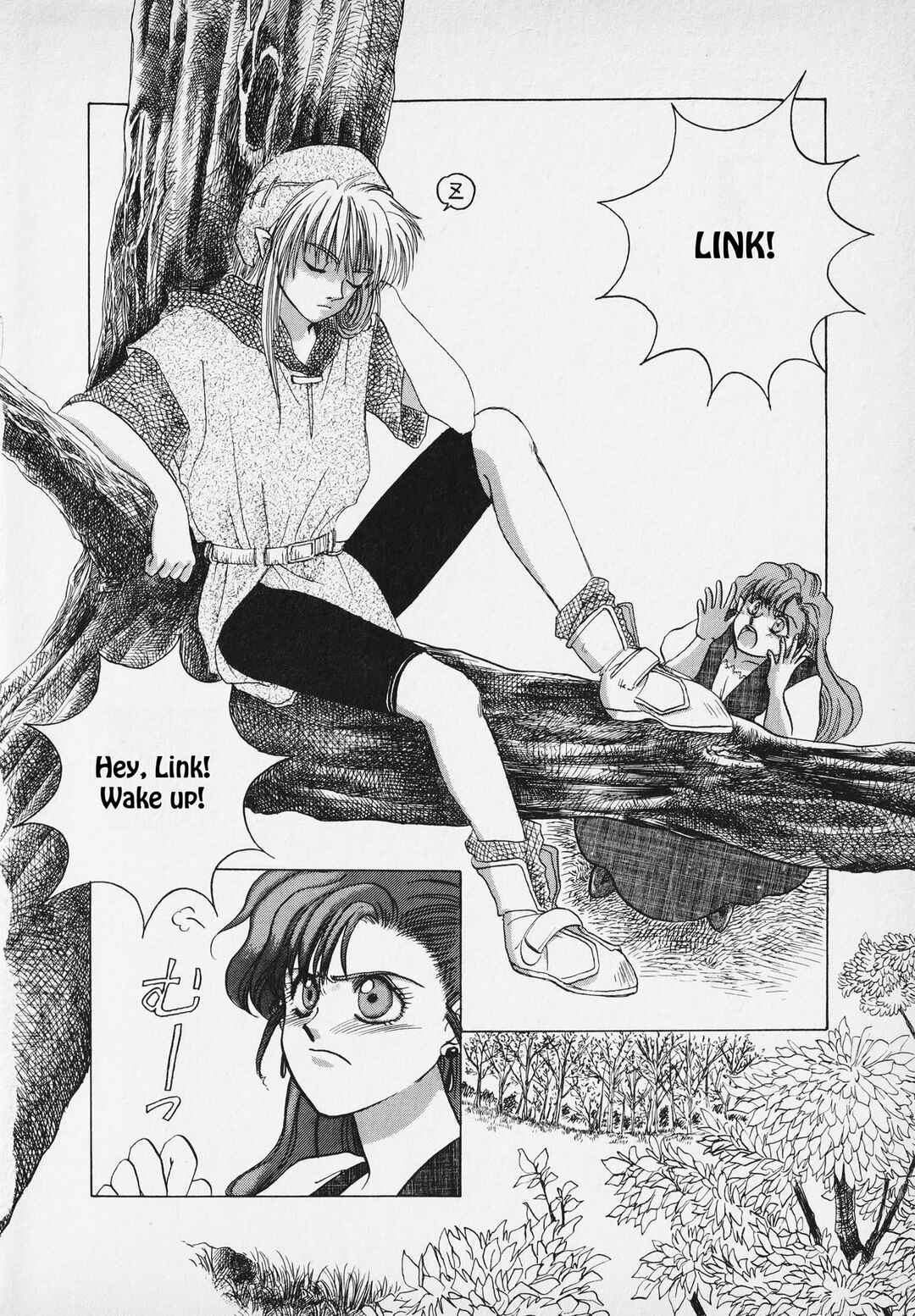 Page 19 Chapter Unknown_9bf4 The Legend of Zelda: A Link to the Past