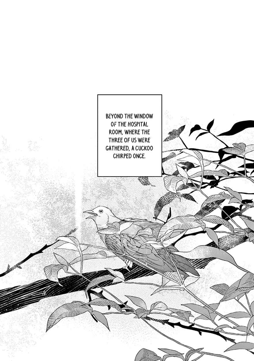 Page 36 Chapter 8 The Dream of the Cuckoos