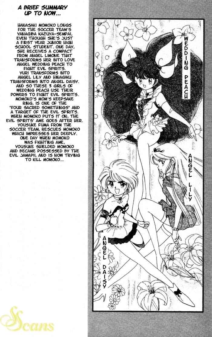 Page 6 Chapter 6 Wedding Peach