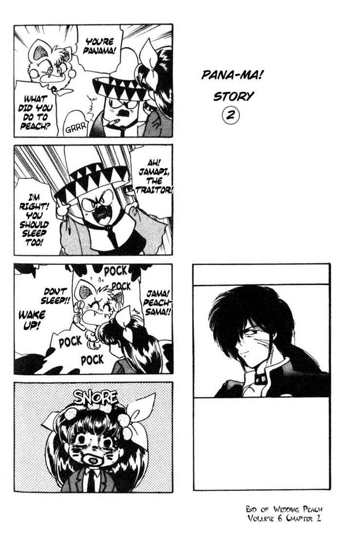 Page 32 Chapter 25 Wedding Peach