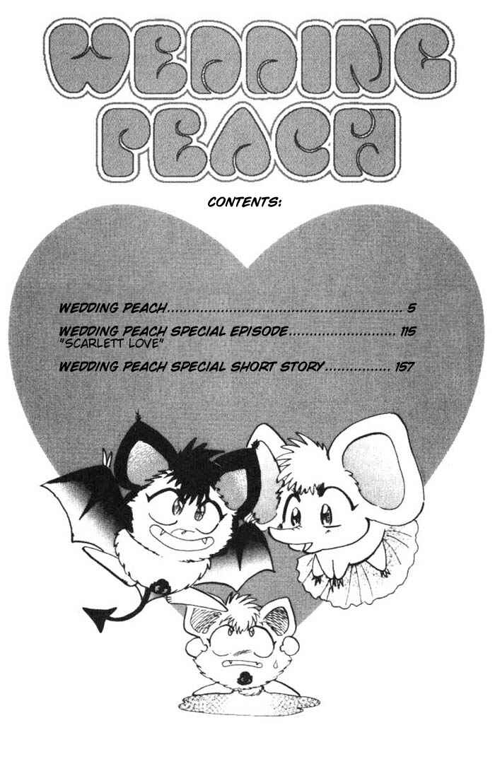 Page 6 Chapter 24 Wedding Peach