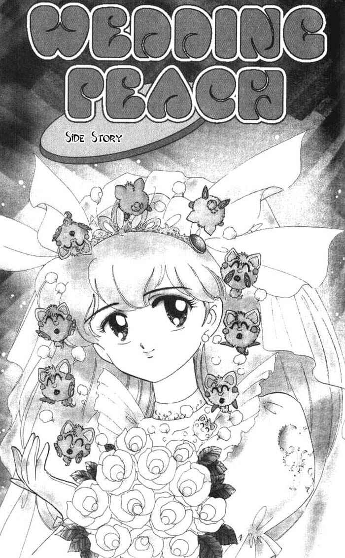 Page 1 Chapter 19.5 Wedding Peach