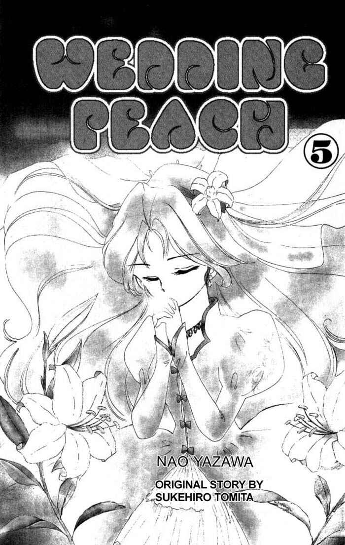 Page 4 Chapter 20 Wedding Peach