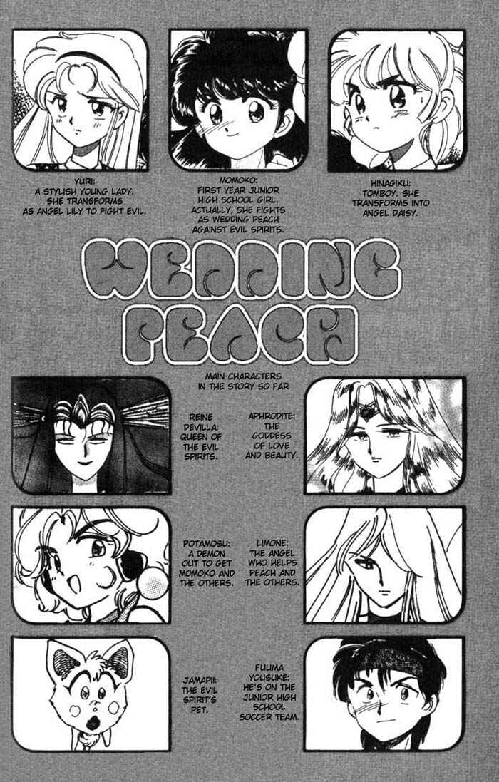 Page 5 Chapter 20 Wedding Peach