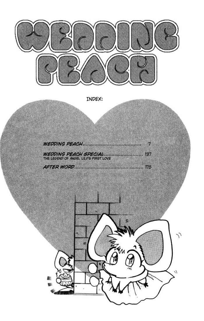 Page 7 Chapter 20 Wedding Peach