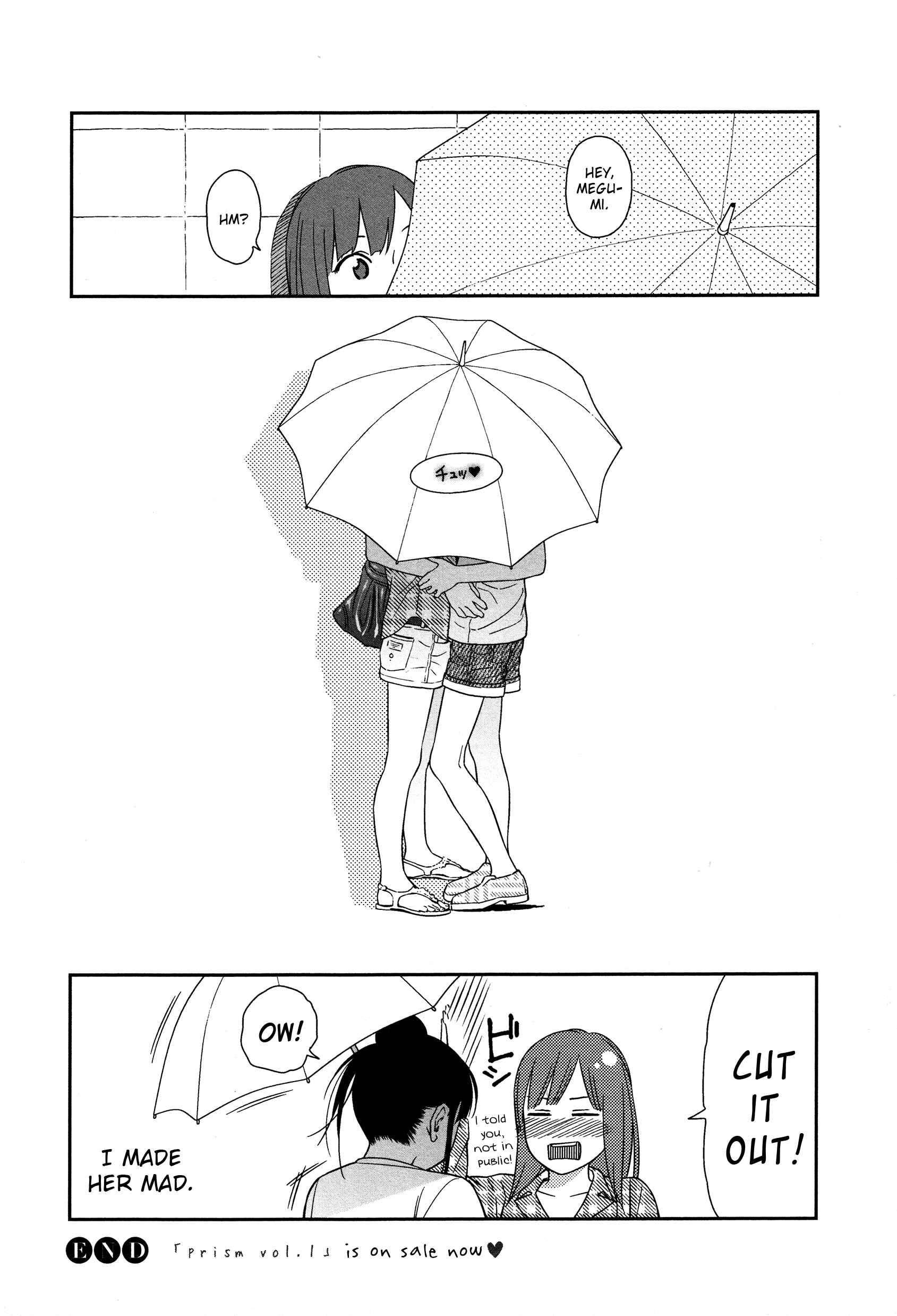 Page 8 Chapter 6.5 Prism