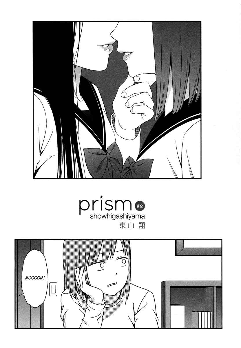 Page 4 Chapter 2 Prism