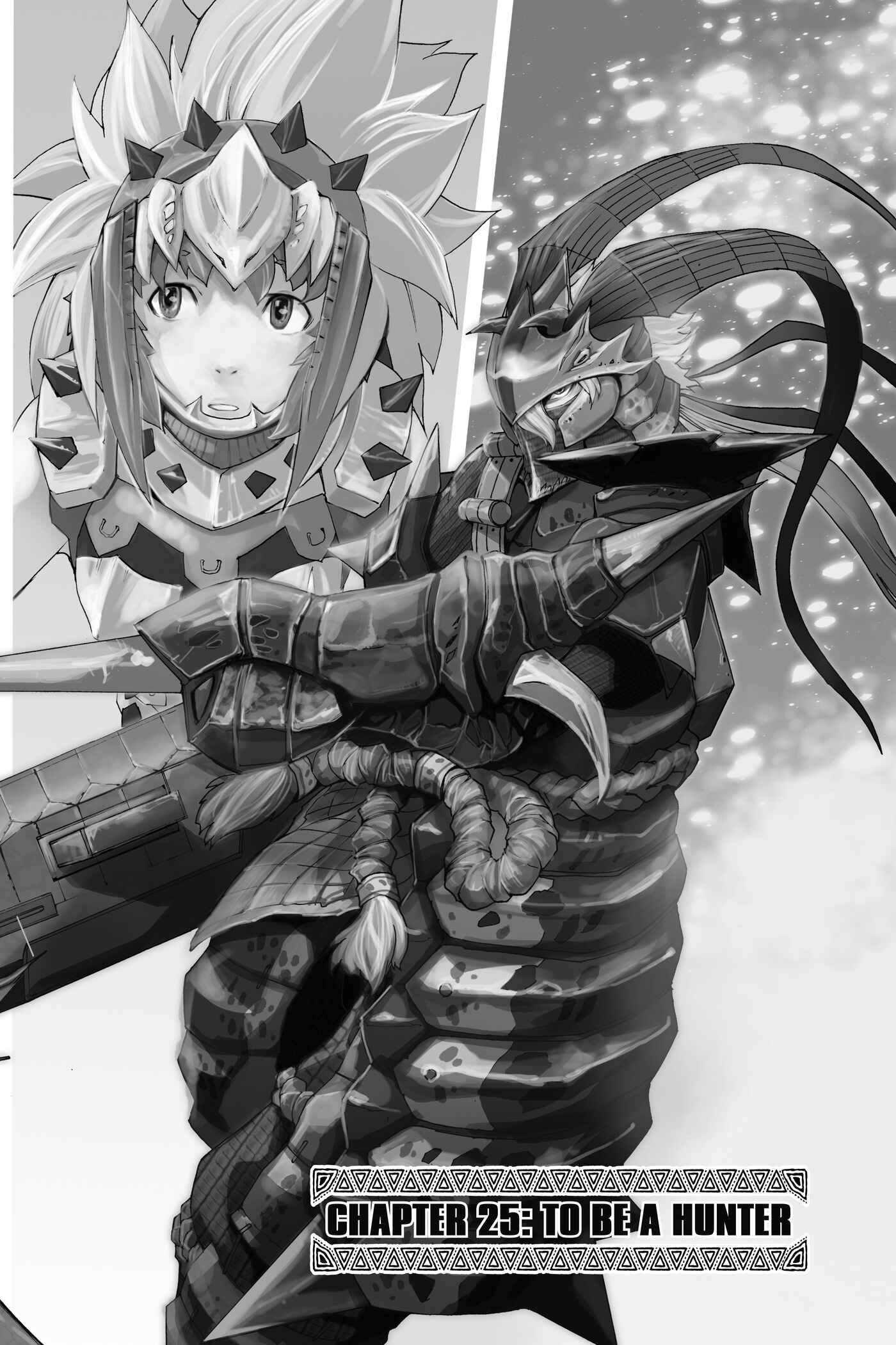 Page 3 Chapter 25 Monster Hunter: Flash Hunter