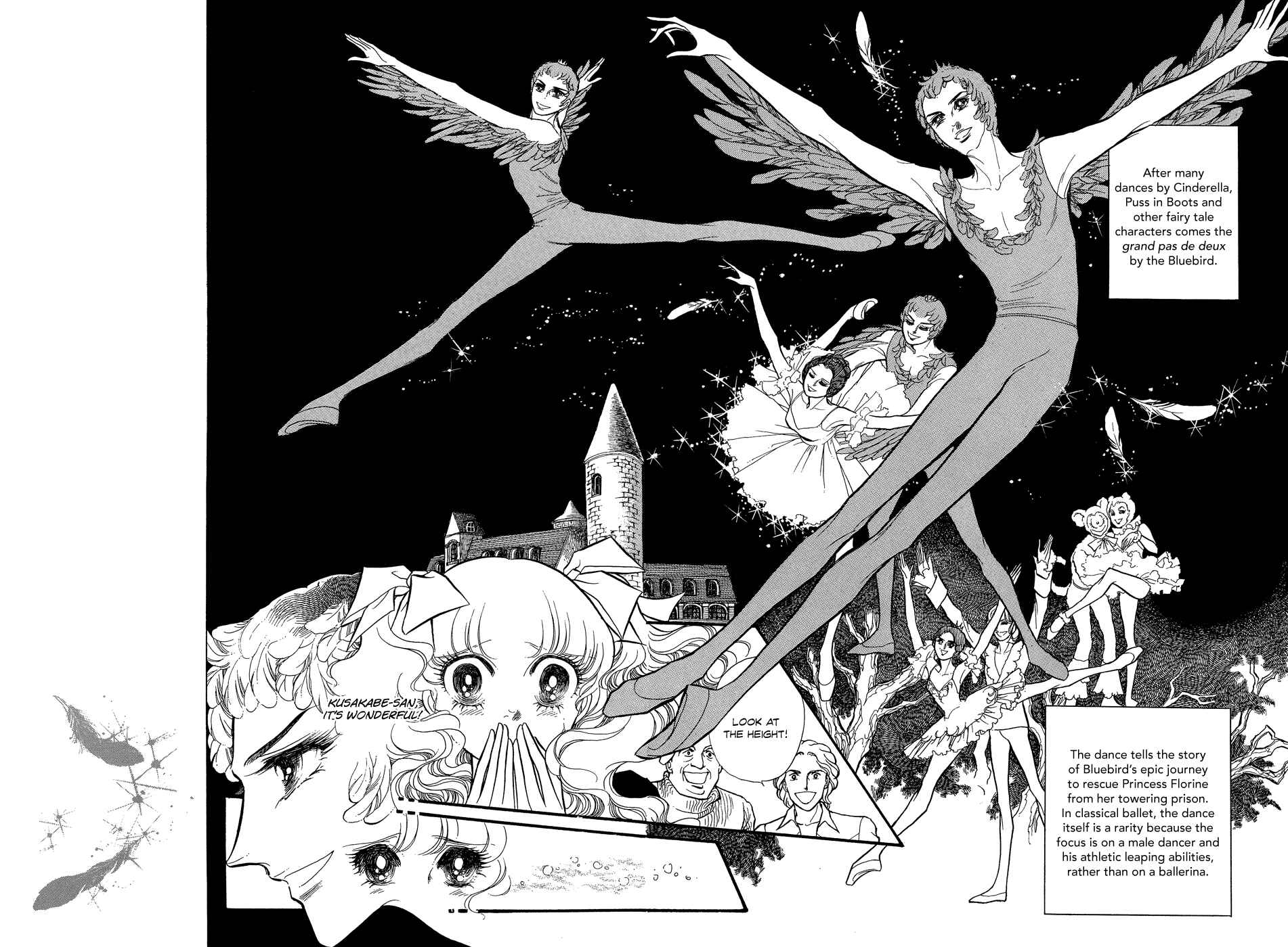 Page 5 Chapter 11 SWAN